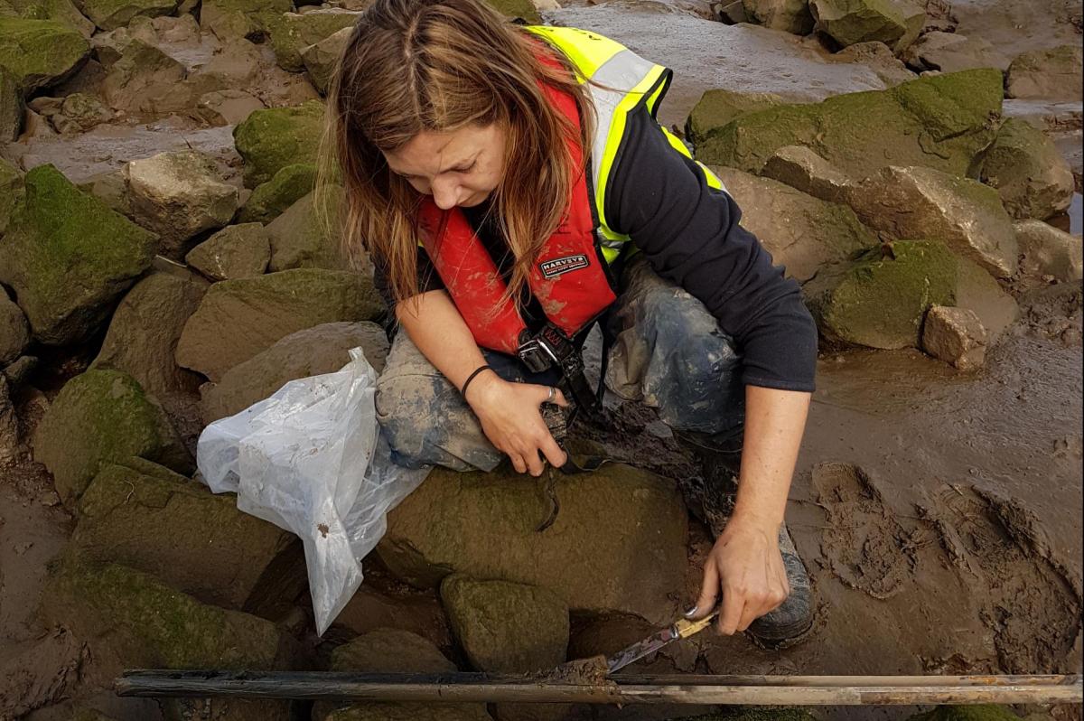 Auger Survey Archaeological Services Wessex Archaeology